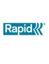 Rapid